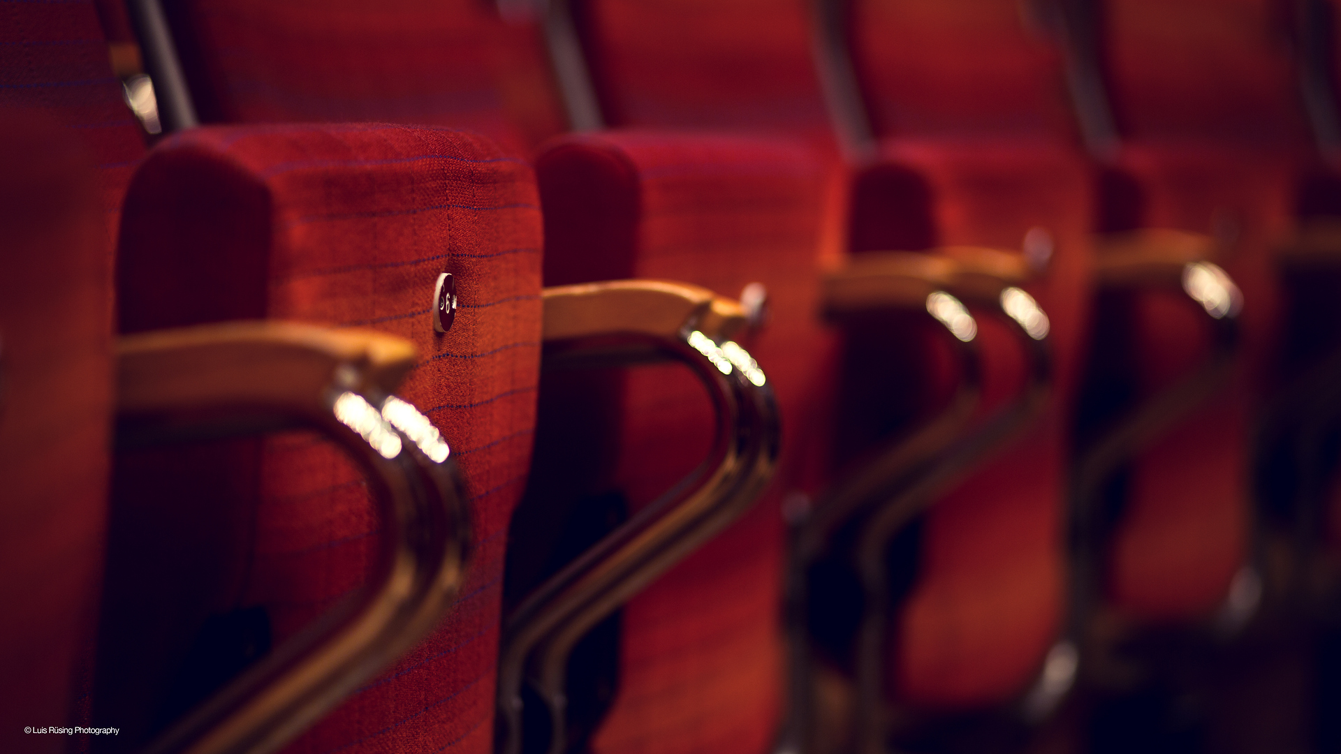 Sitzreihen der Kölner Philharmonie